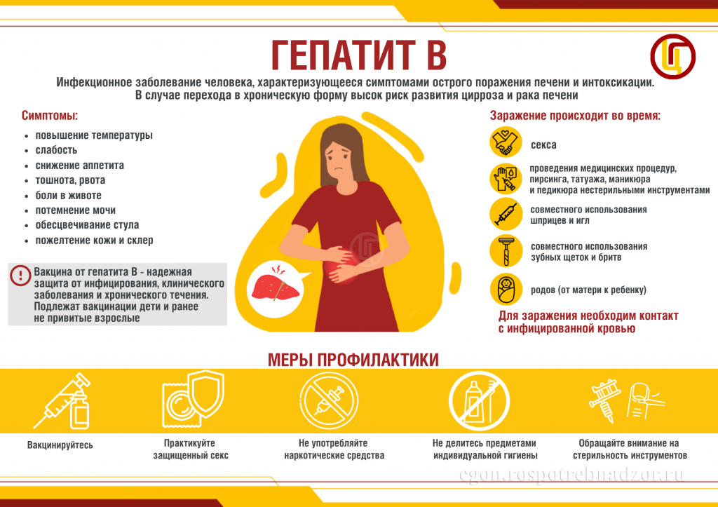 Гепатит B