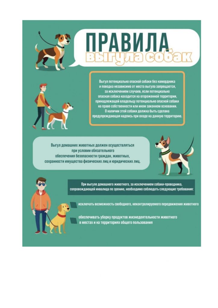 Правила выгула собак